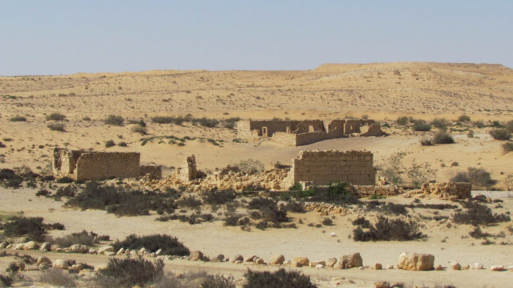 Halutza an ancient Nabatean city in Israel (Panoramio)